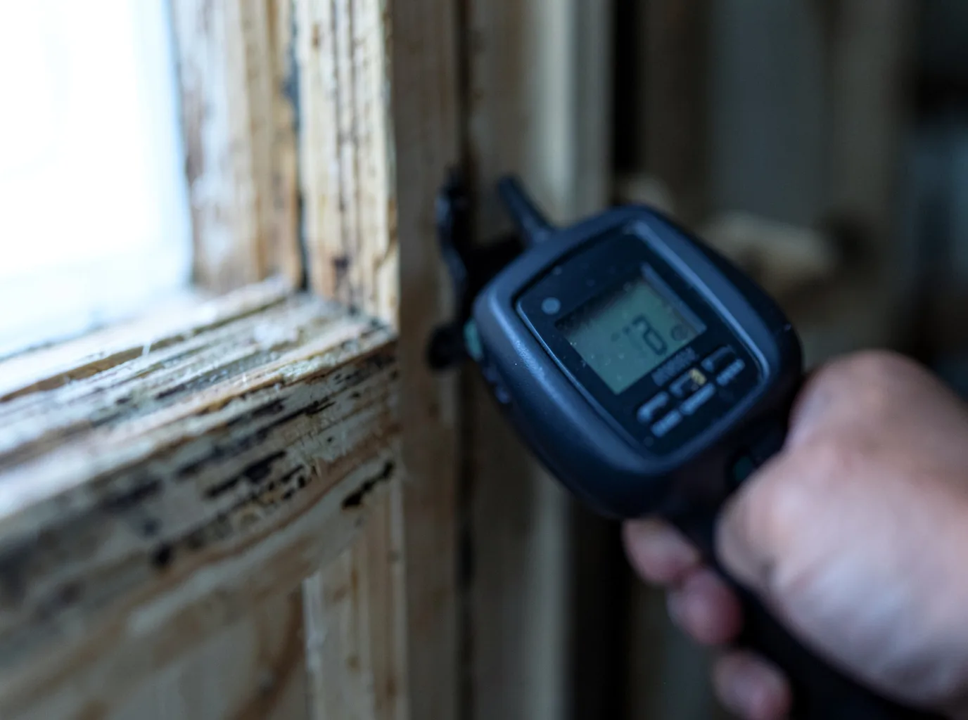 Moisture Inspection And Documentation in Foster, MO